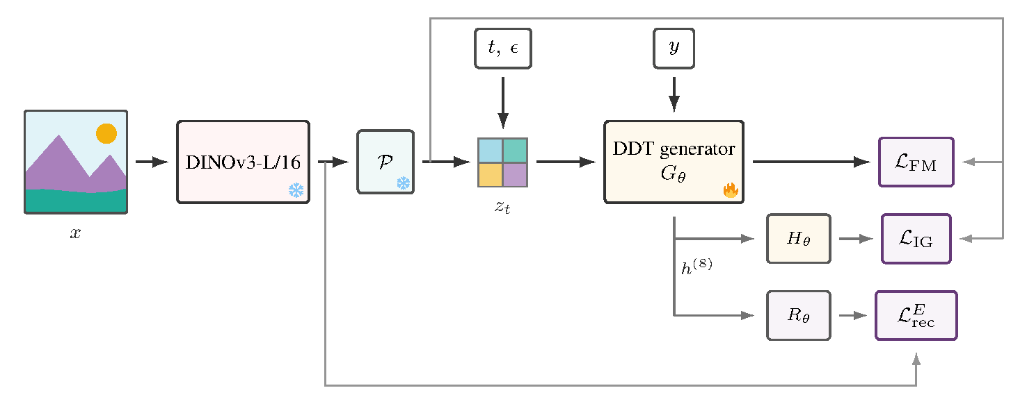 Pooled encoder features are noised and passed to the generator. The generator learns flow matching and auxiliary internal-guidance and encoder-reconstruction objectives.